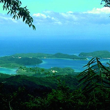 Bamboo Beach Resort Пуерто Галера Екстериор снимка